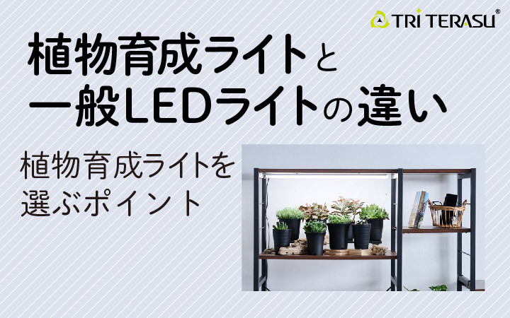 植物育成ライトと一般LEDライトの違いを分かりやすく解説！植物育成