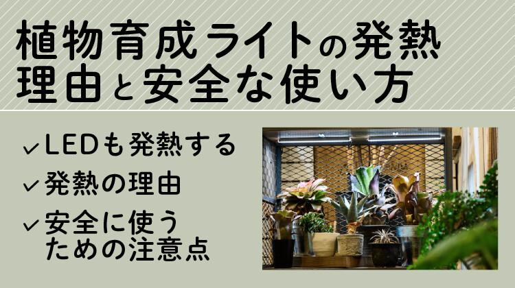 Plantterasu-Blog17-mainsam_メイン のコピー 2.jpg