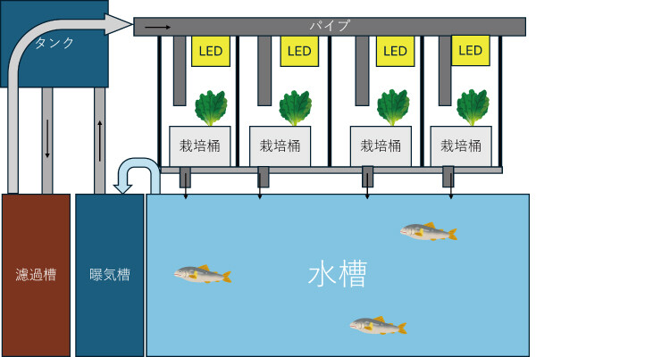 Aquaponics-triterasublog02.jpg