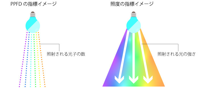 PPFD-Lux image.jpg