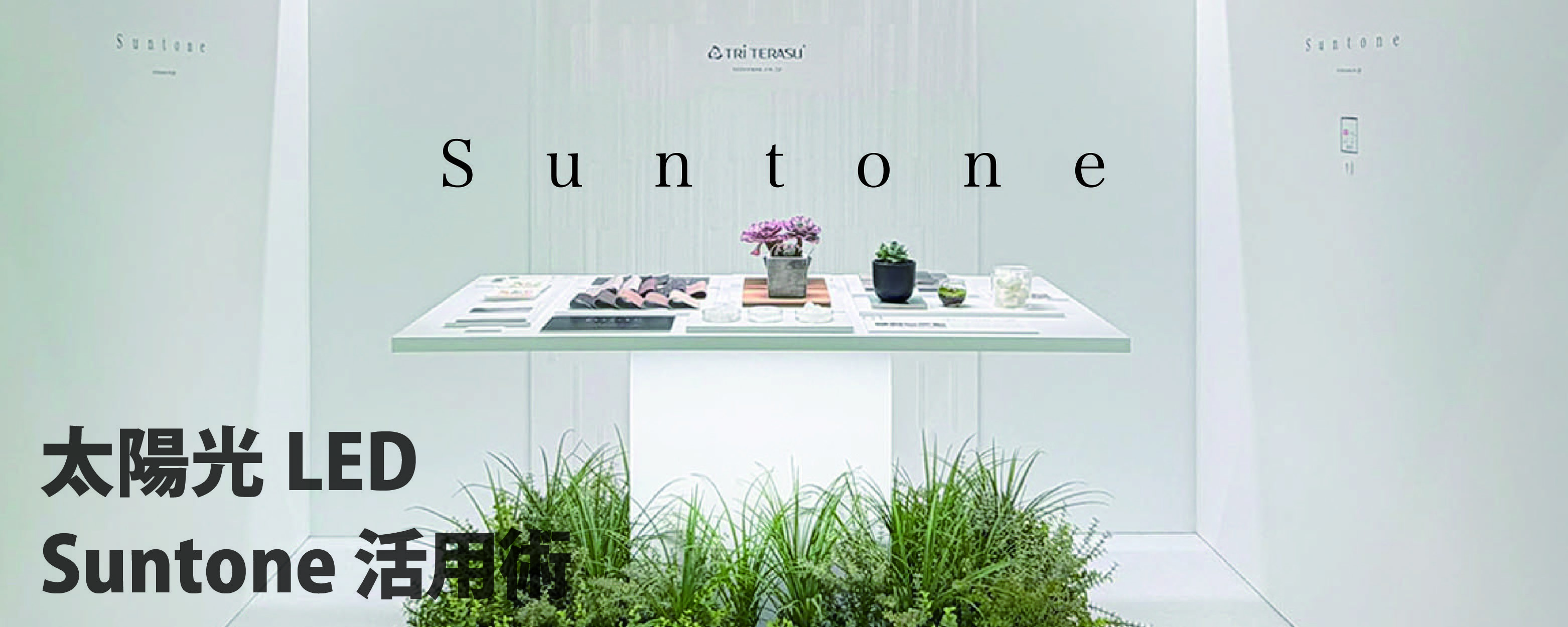 Suntone-b-03-02.jpg