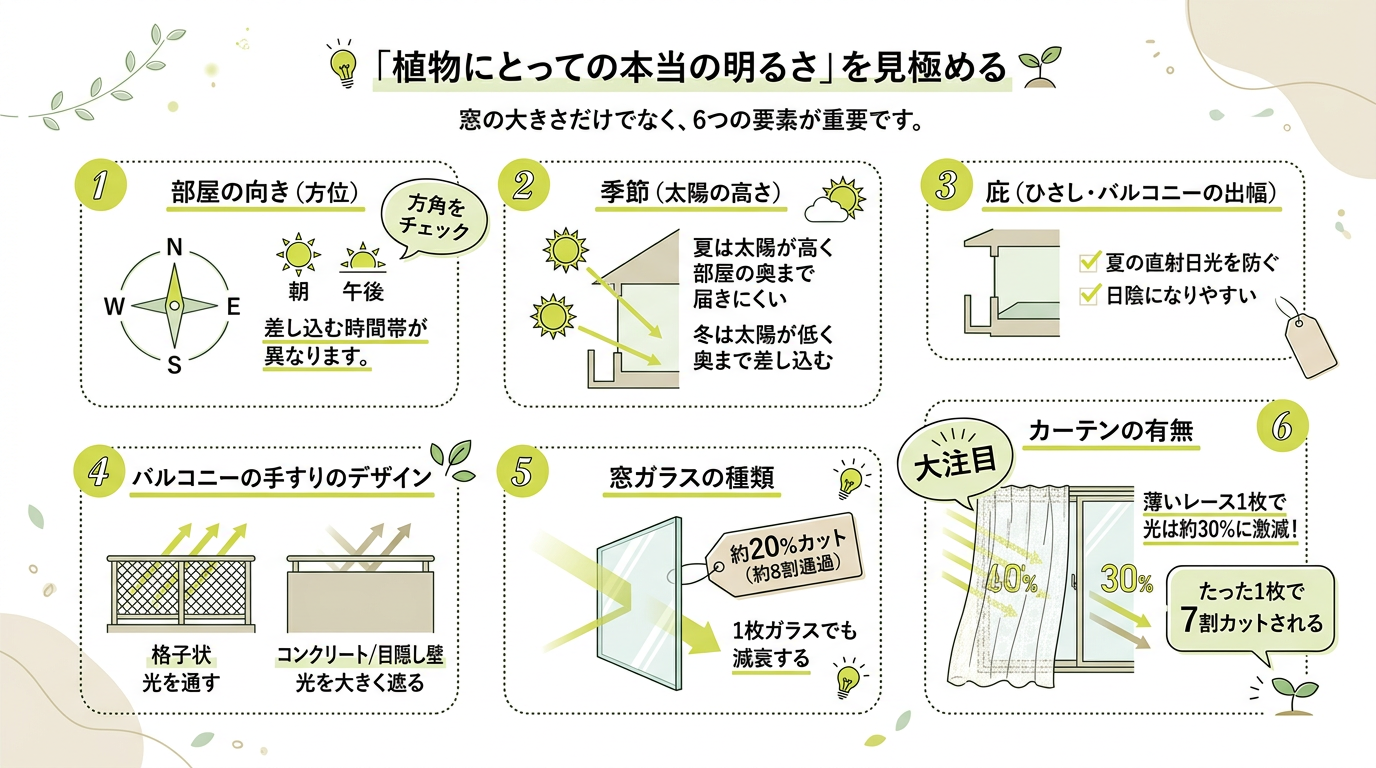 plant-b-11_2 -2-1.png