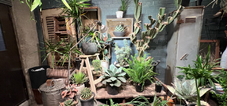 plantterasublog-shop_route-_1_4.jpg